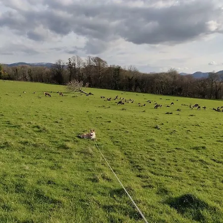 Acara Bed & Breakfast Killarney