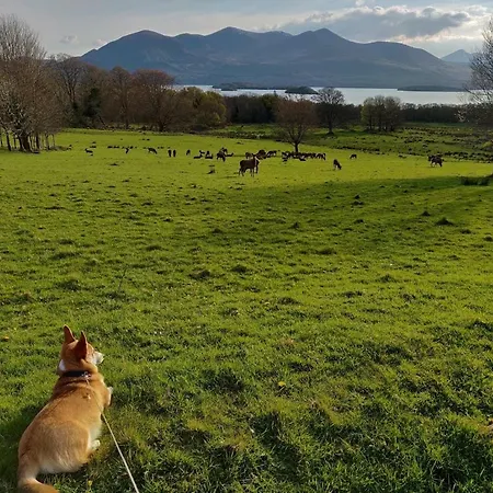 Acara Killarney